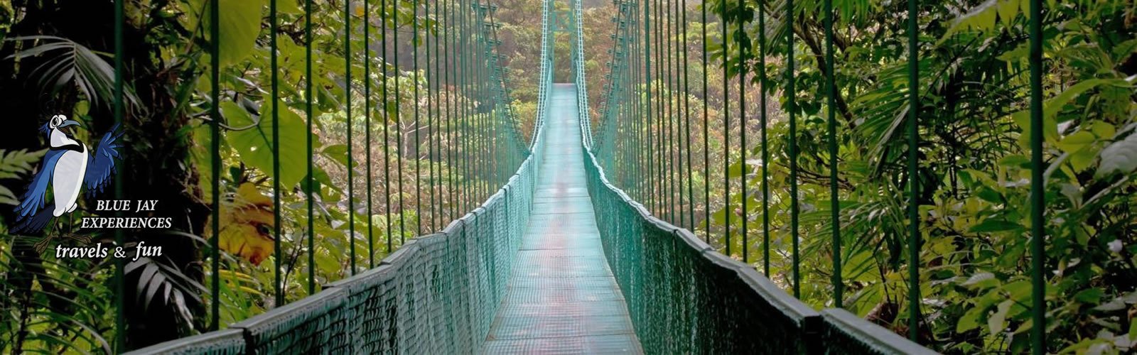 Monteverde Cloud Forest – Hanging bridges & The longest zip line