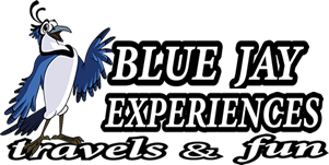 Blue Jay Experiences